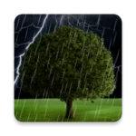 Logo of Thunderstorm Live Wallpaper android Application 